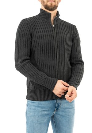 Schott PLECORAGE  - Strickjacke - gris