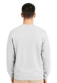 Sweat-shirt gris à col rond, manches longues et coupe décontractée. Texture douce avec poignets et ourlet côtelés. Vue de dos sans détails remarquables.