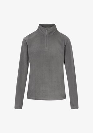 Grau Fleece-Pullover mit hohem Kragen, Reißverschluss am Hals, langen Ärmeln und glatter Textur. Einfaches Design, ohne Muster oder Akzente.