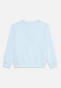 Felpa azzurra chiara con collo rotondo, maniche lunghe e polsini a coste. Il retro presenta una superficie liscia senza elementi di design aggiuntivi.
