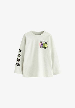 Sweatshirt lung cu mâneci lungi, gri, având grafica "NEW YORK" în verde, roz și negru. Designuri suplimentare cu temă de skateboarding pe mânecă.