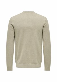 Lichtbeige trui met lange mouwen, ronde hals, ribgebreide boorden en zoom. Zachte gebreide textuur met een eenvoudig ontwerp en geen zichtbare patronen.