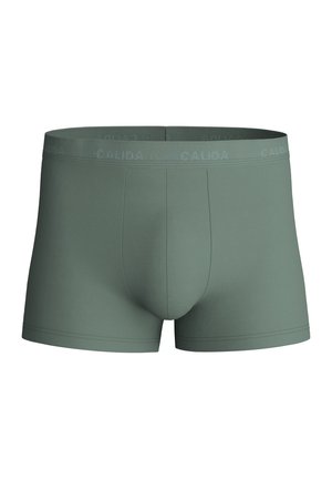 Groene katoenen boxershorts met een aansluitend ontwerp, voorzien van een gladde tailleband met het merk "CALIDA" erin gegraveerd en zonder zichtbare patronen.