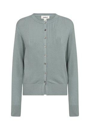Light teal cardigan with textured ribbing, round neck, and front button closure. Features long sleeves and a fitted hem.