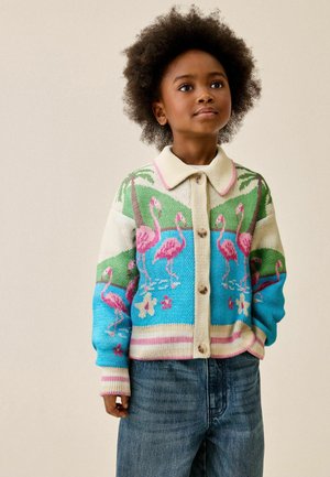 Next, REGULAR FIT - COLLARED CARDIGAN - Vest - flamingo printed