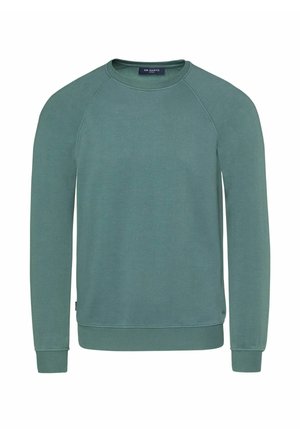 Grüner Sweatshirt aus weichem Stoff, mit langen Ärmeln, gerippten Bündchen und Saum sowie einem Rundhalsausschnitt. Minimalistisches Design ohne Muster.