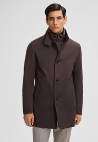 Bruine jas van een gladde stof, met een knoopsluiting aan de voorkant, hoge kraag en twee zijzakken. Gegdraagd over grijze broek.