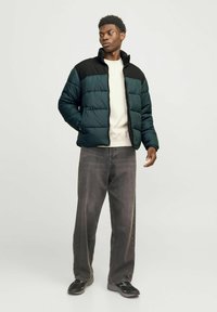 Jack & Jones JJMOON PUFFER - Ziemas jaka - magical forest