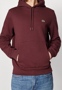 Bordeauxroter Hoodie mit Kängurutasche, Kapuze mit Kordelzug und gesticktem Logo. Hergestellt aus weichem Stoff mit gerippten Bündchen und Saum.