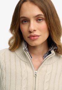 Sweater en tricot beige avec design à côtes et fermeture éclair, superposé sur une chemise à col rayée bleu marine et blanche. Tissu texturé avec des motifs en câble.