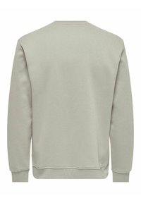 Lichtgrijze sweatshirt gemaakt van zachte stof, met lange mouwen, een ronde hals en ribgebreide manchetten en onderrand. Geen zichtbare graphics of patronen.