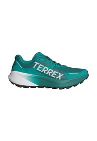 Scarpe sportive turchesi con tomaia in rete, grande marchio bianco "TERREX", suola intermedia bianca spessa e suola esterna nera testurizzata per una buona aderenza.