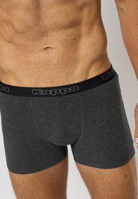 Boxeri scurți din bumbac gri, cu un elastic negru la talie pe care se află afișat proeminent logo-ul "Kappa". Design ajustat, textură netedă.