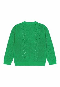 The New TNJIVA  - Pulover - bright green