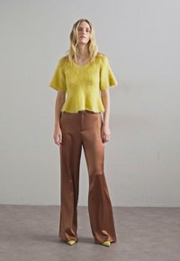 Kollane lühikeste varrukatega kootud pluus, millel on laienev serv, koos pruunide kõrge talje satiinipükstega ja roheliste terava ninaga kontsakingadega.