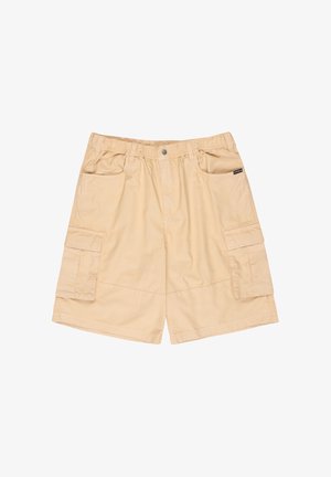 Quiksilver, FREEFALL - ELASTISCHE - Shorts - cjz