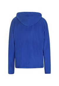 Felpa blu in pile con cappuccio, maniche lunghe e una texture morbida. Colore uniforme, solido, senza patterns o dettagli. Vista posteriore mostrata.