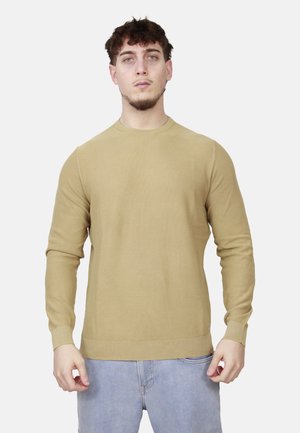 Giovane uomo con capelli corti e ricci, indossa un maglione beige a maniche lunghe e jeans azzurri, in piedi contro uno sfondo bianco uniforme.