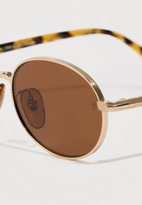 Gafas de sol redondas con lentes marrones, montura metálica dorada con acentos estriados y brazos con patrón de carey.