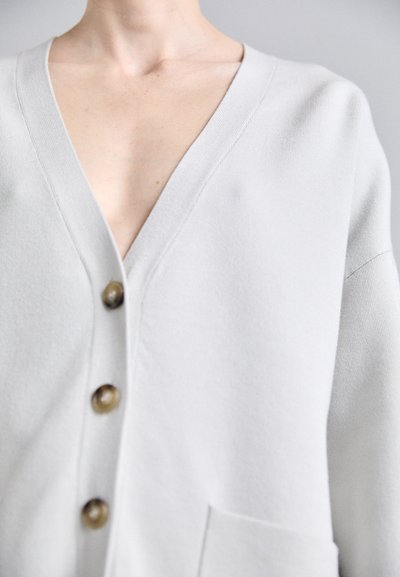 Ανοιχτό γκρι ανοιξιάτικο μπουφάν με βαθύ V-ντεκολτέ, τρία μεγάλα καφέ κουμπιά και υφή. Έχει μακριά μανίκια και μπροστινή τσέπη.