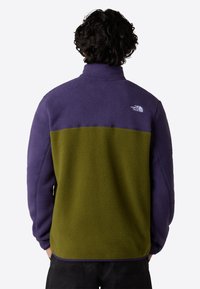 Giacca in pile con parte superiore viola e parte inferiore verde oliva, colletto alto e logo North Face sul retro. Tessuto texturizzato.