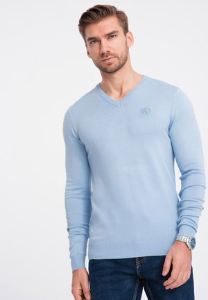 SWBS - Maglione - light blue