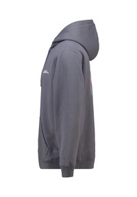 Grijze hoodie met een trekkoordcapuchon, voorkuip en geborduurde accenten. Gemaakt van zachte stof met een gladde textuur en een ontspannen pasvorm.