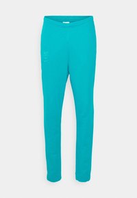 Nike Performance Klubové oblečení - turquoise