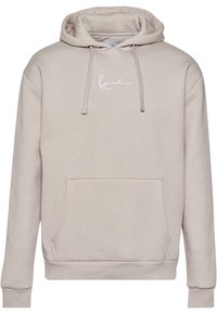 SMALL SIGNATURE ESSENTIAL - Felpa con cappuccio - light grey