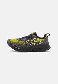 FRESH FOAM X HIERRO V8 - Trail hardloopschoenen - black
