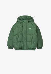 Unselected, dusty ivy