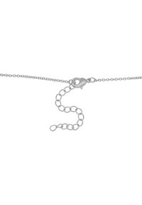 Collana in argento con chiusura a moschettone, caratterizzata da una serie di anelli interconnessi. Il design include una breve sezione di estensione.