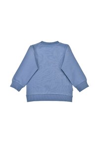 Hellblaues Sweatshirt mit langen Ärmeln, gerippten Bündchen und Saum, aus weichem Material gefertigt, mit glatter Textur und schlichtem Design.