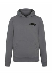 Szara bluza z kapturem wykonana z miękkiego materiału, z kieszenią kangurzą z przodu, ribbowanymi mankietami i dołem oraz czarnym haftowanym logiem "F1" na klatce piersiowej.