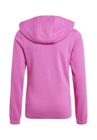 Sudadera con capucha rosa, de textura suave, con mangas largas y un corte relajado. El diseño presenta una parte posterior simple y lisa, sin adornos.