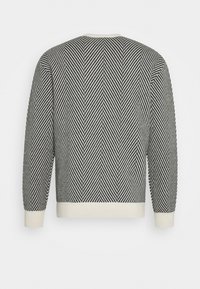 Svart och vit chevronmönstrad tröja med långa ärmar och vita ribbade muddar och nederkant, sedd bakifrån.