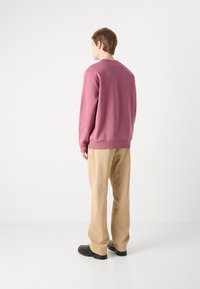 Felpa rosa chiaro con maniche lunghe e scollatura a girocollo, abbinata a pantaloni beige e calzature nere, vista da dietro.