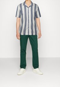 Camicia a maniche corte con righe verticali blu e bianche, con bottoni sul davanti, abbinata a pantaloni verdi e sneakers bianche.