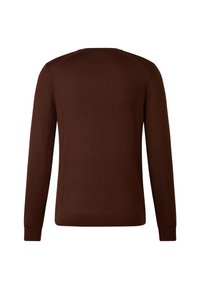 Brązowy sweter z długim rękawem wykonany z dzianiny. Posiada okrągły dekolt oraz ściągacze na rękawach i dole. Prosty, jednolity design bez wzorów.
