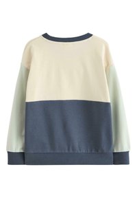 Bluza z blokami kolorów w odcieniach kremowego, jasnej zieleni i granatowego; z prążkowanym dekoltem i mankietami; wykonana z miękkiego materiału.