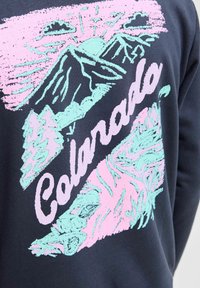 Sudadera de color marino con un diseño gráfico de montañas y árboles en rosa y menta, con "Colorado" destacado en texto blanco.