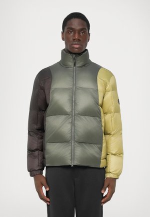 MOUNTAIN JACKET - Talvejope - mulled basil