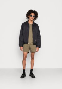 Nudie Jeans ROGER - T-shirt básica - faded green