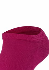 FALKE ACTIVE BREEZE - Socken - berry