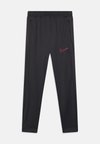 ACADEMY 23 PANT BRANDED UNISEX - Træningsbukser - iron grey/sunset pulse