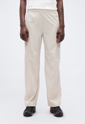 WAYFARER EASE PANTS 2.0 - Hlače za na prostem - silver cloud