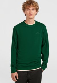 Groene sweatshirt met een ronde hals, lange mouwen en geribbelde manchetten. Bevat een subtiele logo op de borst. Gelaagd over een lichtgekleurde shirt.