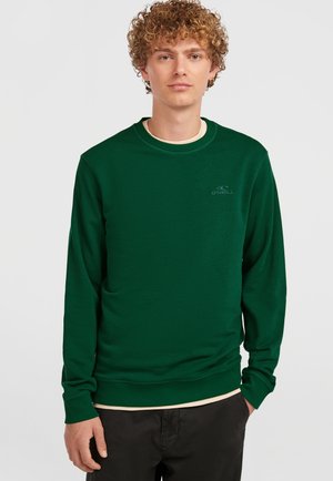 Felpa verde con collo rotondo, maniche lunghe e polsini a coste. Presenta un logo discreto sul petto. Indossata sopra una camicia di colore chiaro.