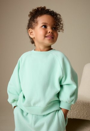 Sweat à manches longues vert menthe avec poignets et ourlet côtelés, présentant une coupe décontractée et une texture douce. Le modèle a les cheveux bouclés.