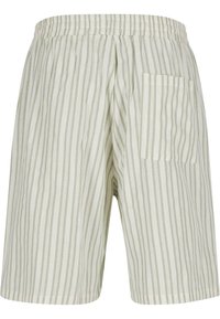 Shorts rayés vert clair avec une taille élastique et une poche arrière. Fabriqués en tissu doux et respirant avec une coupe décontractée.